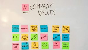 organizaciona kultura